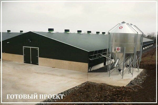 Этапы возведения птицефабрики от завода ВелесТент-снс